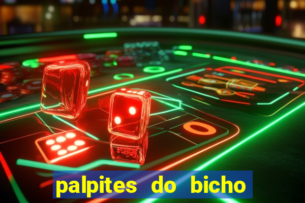 palpites do bicho no celular